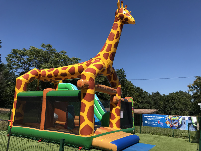 Complexe girafe - Animations gonflables - Tikaloc, location de jeux ...